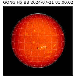 gong - 2024-07-21T01:00:02