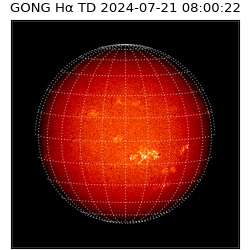 gong - 2024-07-21T08:00:22