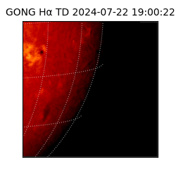 gong - 2024-07-22T19:00:22