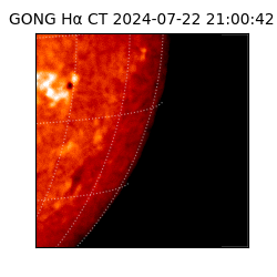 gong - 2024-07-22T21:00:42
