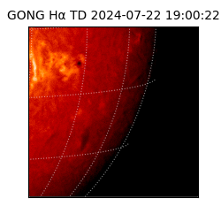 gong - 2024-07-22T19:00:22