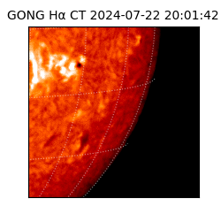 gong - 2024-07-22T20:01:42