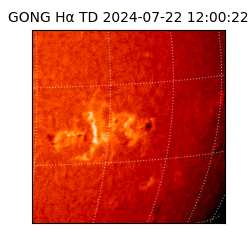 gong - 2024-07-22T12:00:22