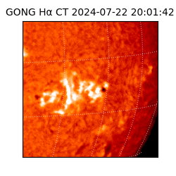 gong - 2024-07-22T20:01:42