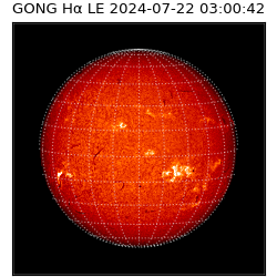 gong - 2024-07-22T03:00:42
