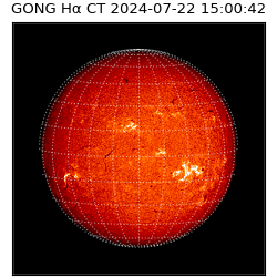 gong - 2024-07-22T15:00:42
