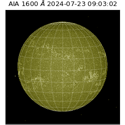 saia - 2024-07-23T09:03:02.126000