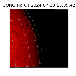 gong - 2024-07-23T13:09:42