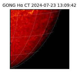 gong - 2024-07-23T13:09:42