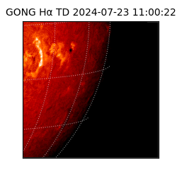 gong - 2024-07-23T11:00:22