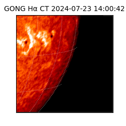 gong - 2024-07-23T14:00:42