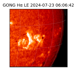 gong - 2024-07-23T06:06:42