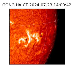 gong - 2024-07-23T14:00:42