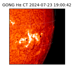 gong - 2024-07-23T19:00:42