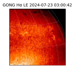 gong - 2024-07-23T03:00:42