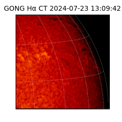 gong - 2024-07-23T13:09:42