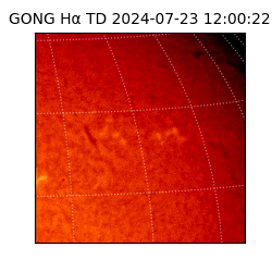 gong - 2024-07-23T12:00:22