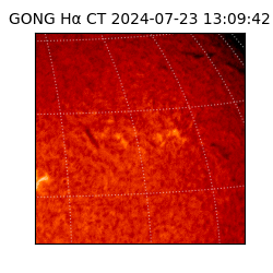 gong - 2024-07-23T13:09:42