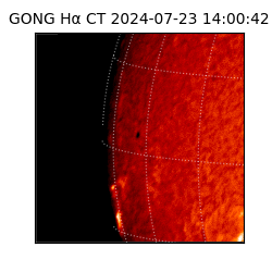 gong - 2024-07-23T14:00:42