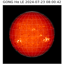 gong - 2024-07-23T08:00:42