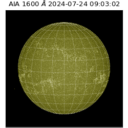 saia - 2024-07-24T09:03:02.126000