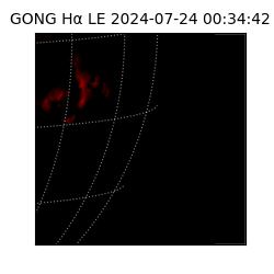 gong - 2024-07-24T00:34:42
