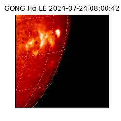 gong - 2024-07-24T08:00:42