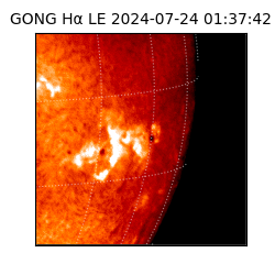 gong - 2024-07-24T01:37:42