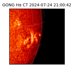 gong - 2024-07-24T21:00:42