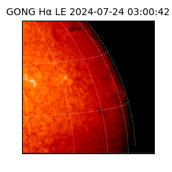 gong - 2024-07-24T03:00:42