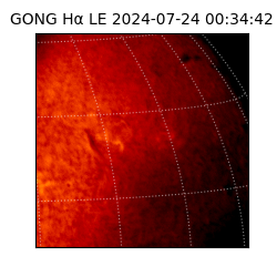 gong - 2024-07-24T00:34:42