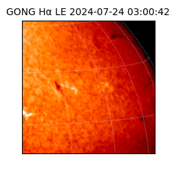 gong - 2024-07-24T03:00:42