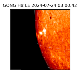 gong - 2024-07-24T03:00:42
