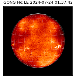 gong - 2024-07-24T01:37:42