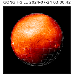 gong - 2024-07-24T03:00:42