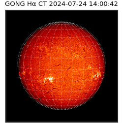 gong - 2024-07-24T14:00:42