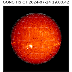 gong - 2024-07-24T19:00:42