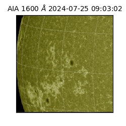 saia - 2024-07-25T09:03:02.119000