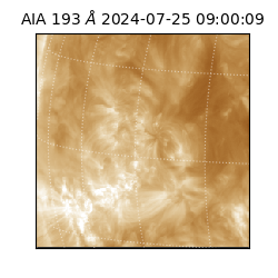 saia - 2024-07-25T09:00:09.460000
