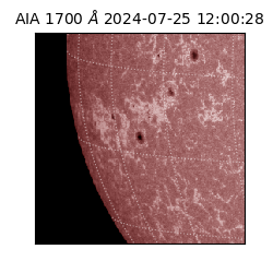 saia - 2024-07-25T12:00:28.745000