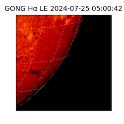 gong - 2024-07-25T05:00:42