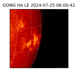 gong - 2024-07-25T06:00:42
