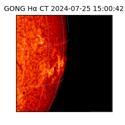 gong - 2024-07-25T15:00:42