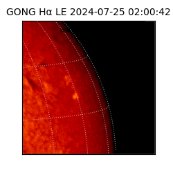 gong - 2024-07-25T02:00:42