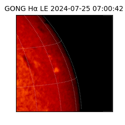 gong - 2024-07-25T07:00:42