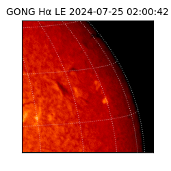 gong - 2024-07-25T02:00:42