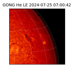 gong - 2024-07-25T07:00:42