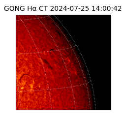 gong - 2024-07-25T14:00:42