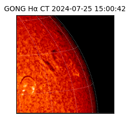 gong - 2024-07-25T15:00:42
