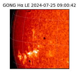 gong - 2024-07-25T09:00:42